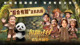 奥托达凯